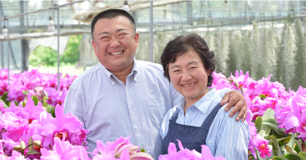 情熱 カトレアの山野井洋蘭